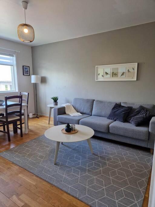 Apartment In Downtown 레이캬비크 외부 사진