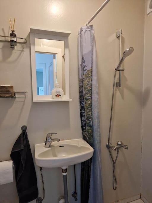 Apartment In Downtown 레이캬비크 외부 사진